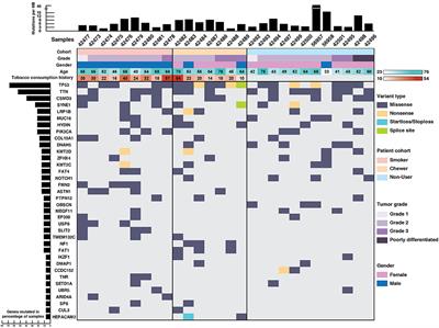 Mutational Landscape of Esophageal Squamous Cell Carcinoma in an Indian Cohort